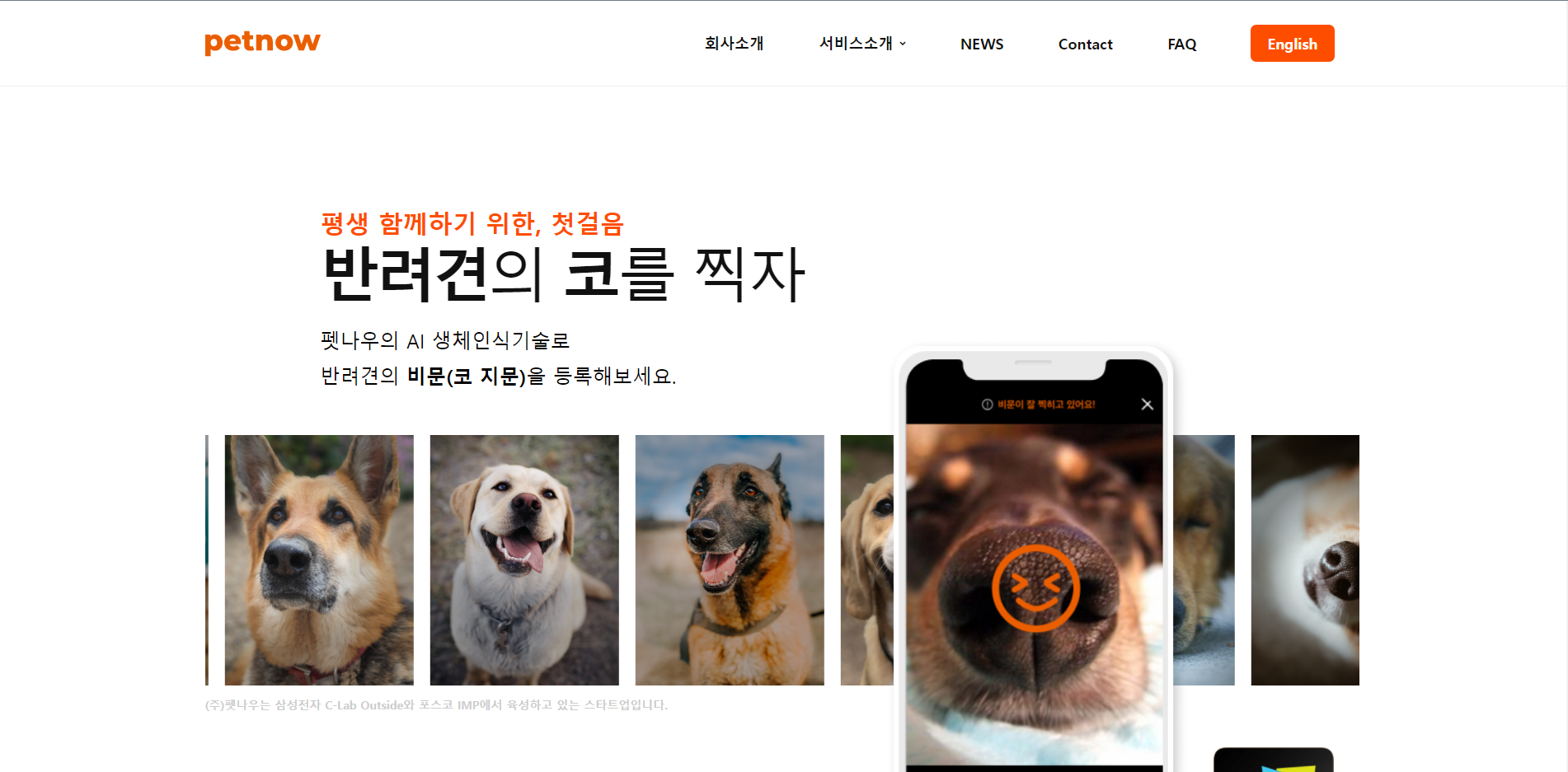  포트폴리오 이미지